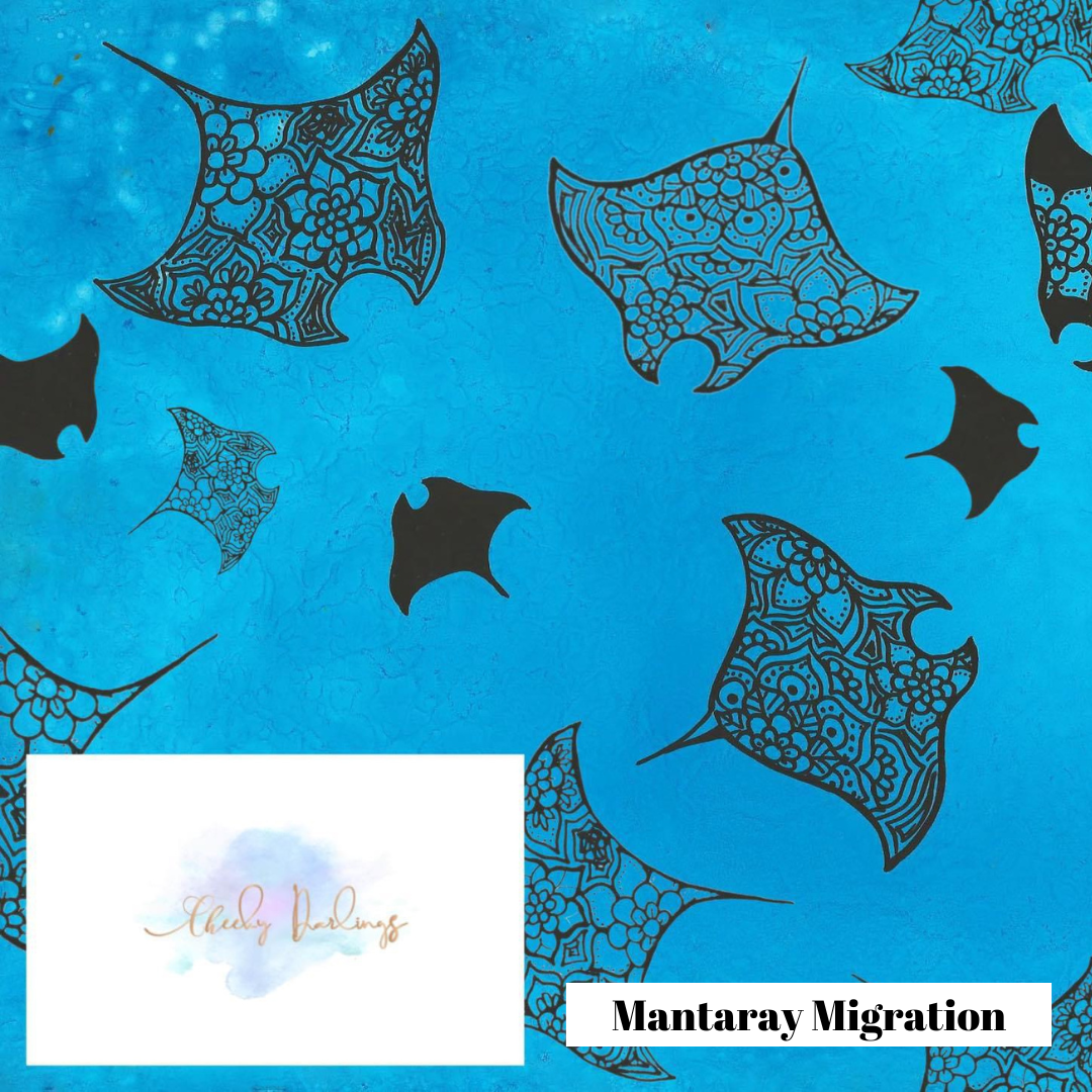 Baby Bibs - Pilbara Designs