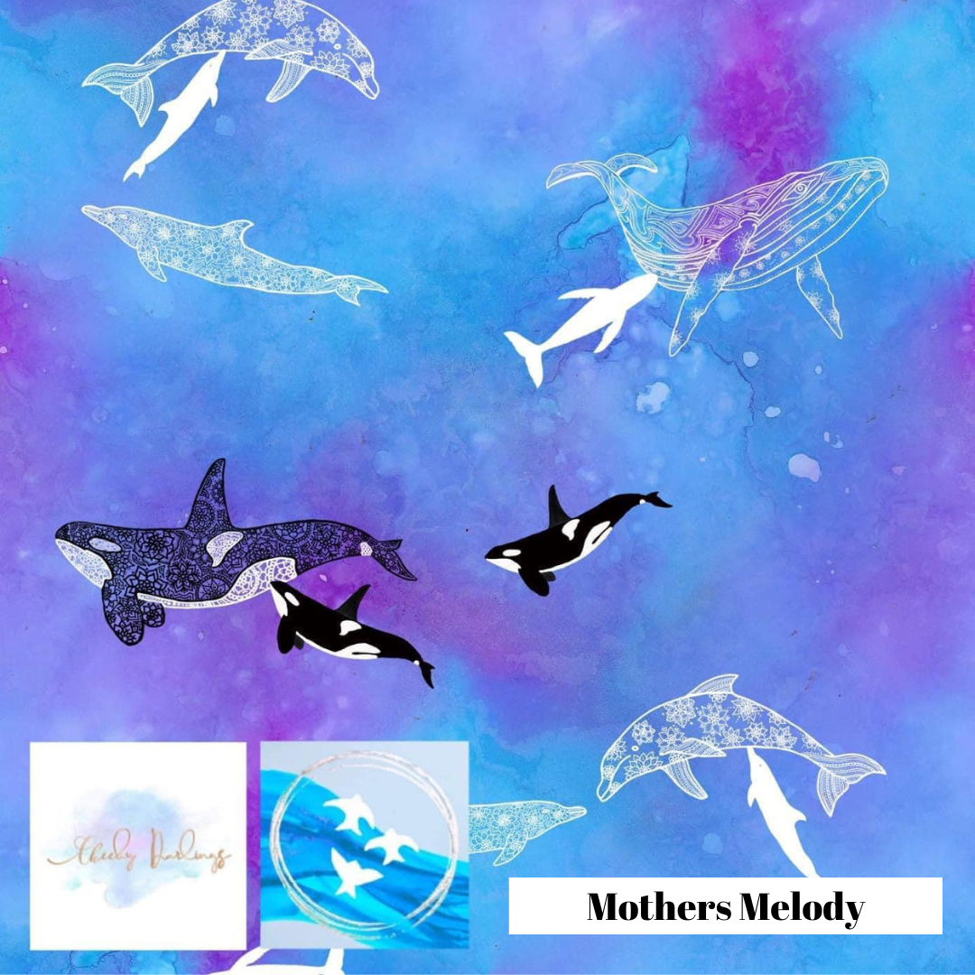 Baby Bibs - Pilbara Designs