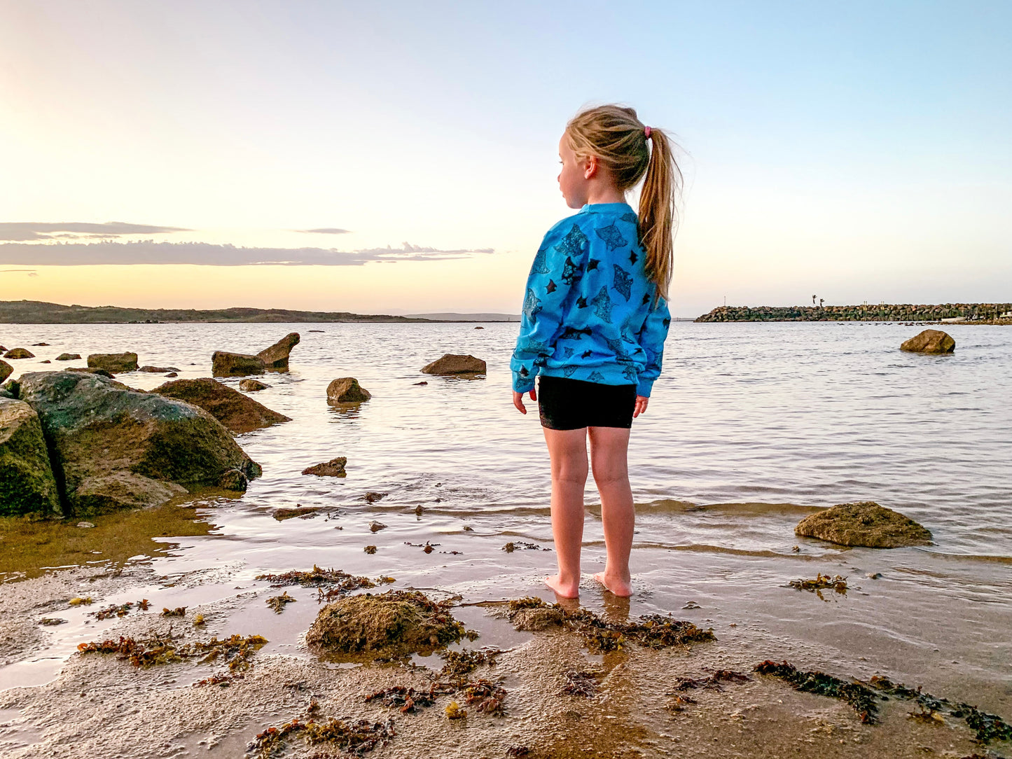 Jumper - Mantaray Migration