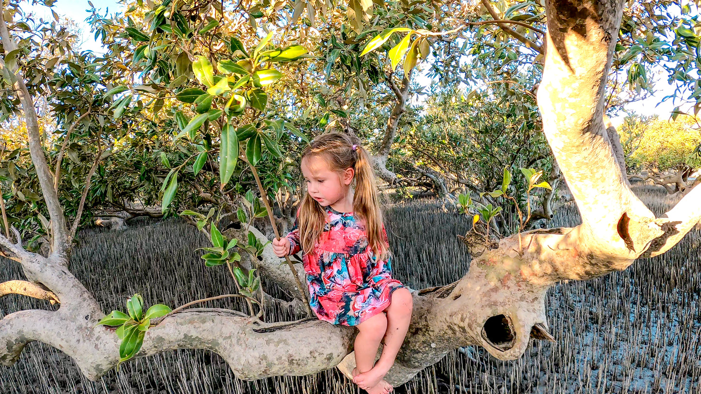 Winter Dress - Mangrove Muddies