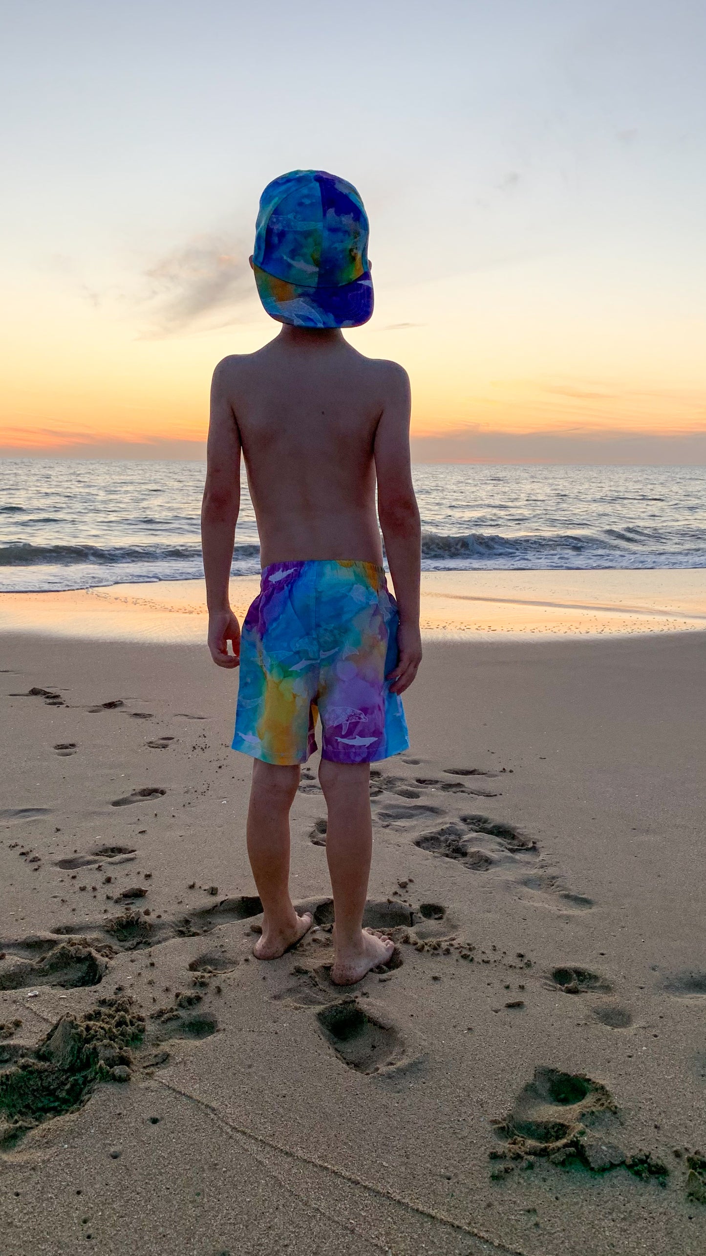 Board Shorts - Dolphin Island