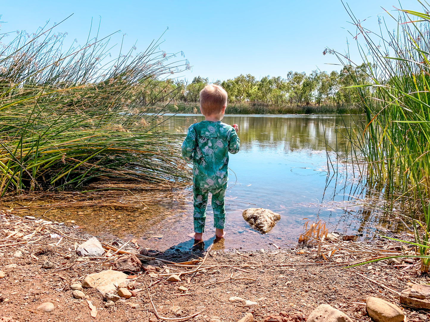 Zip Suit - Turtle Lagoon