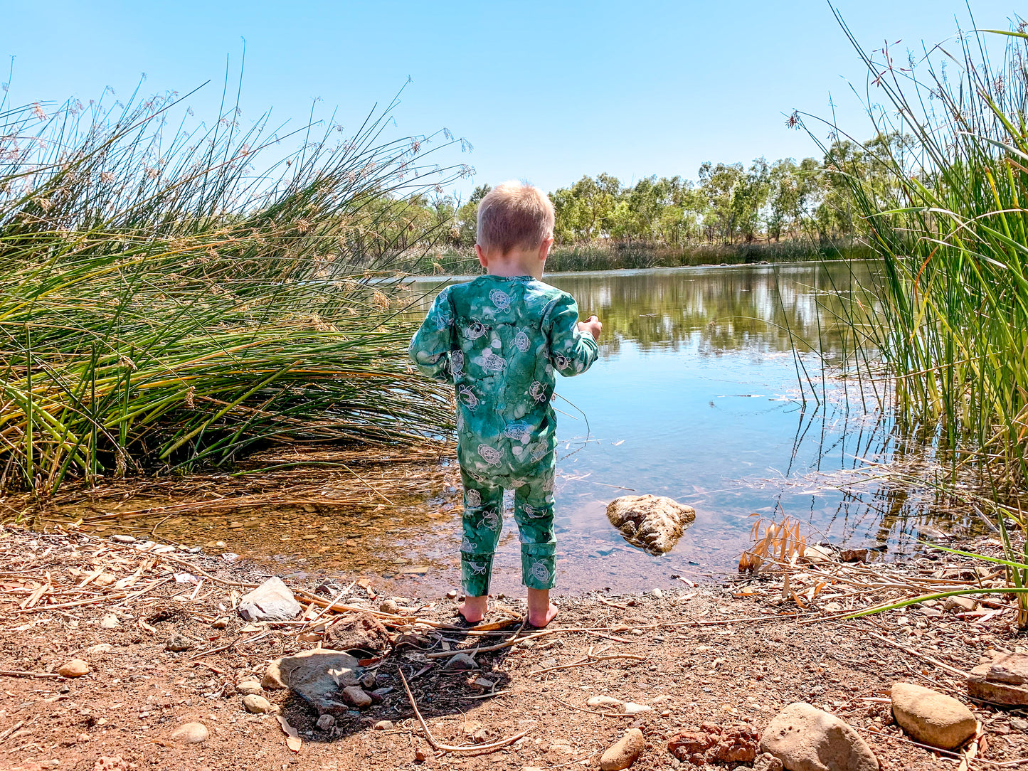 Zip Suit - Turtle Lagoon