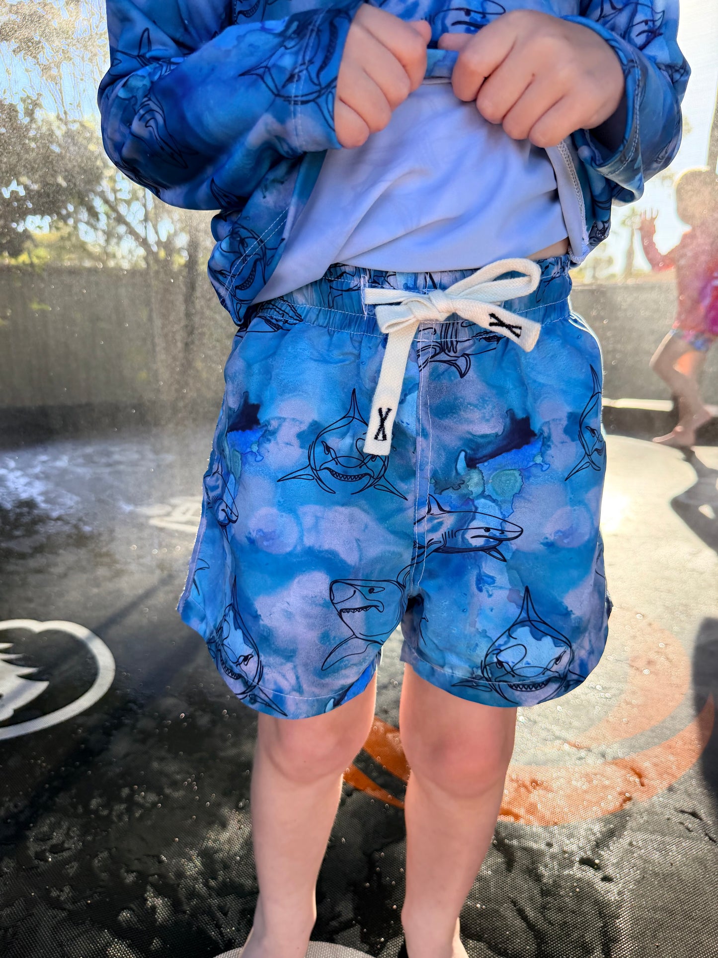 Board Shorts - PRE ORDER