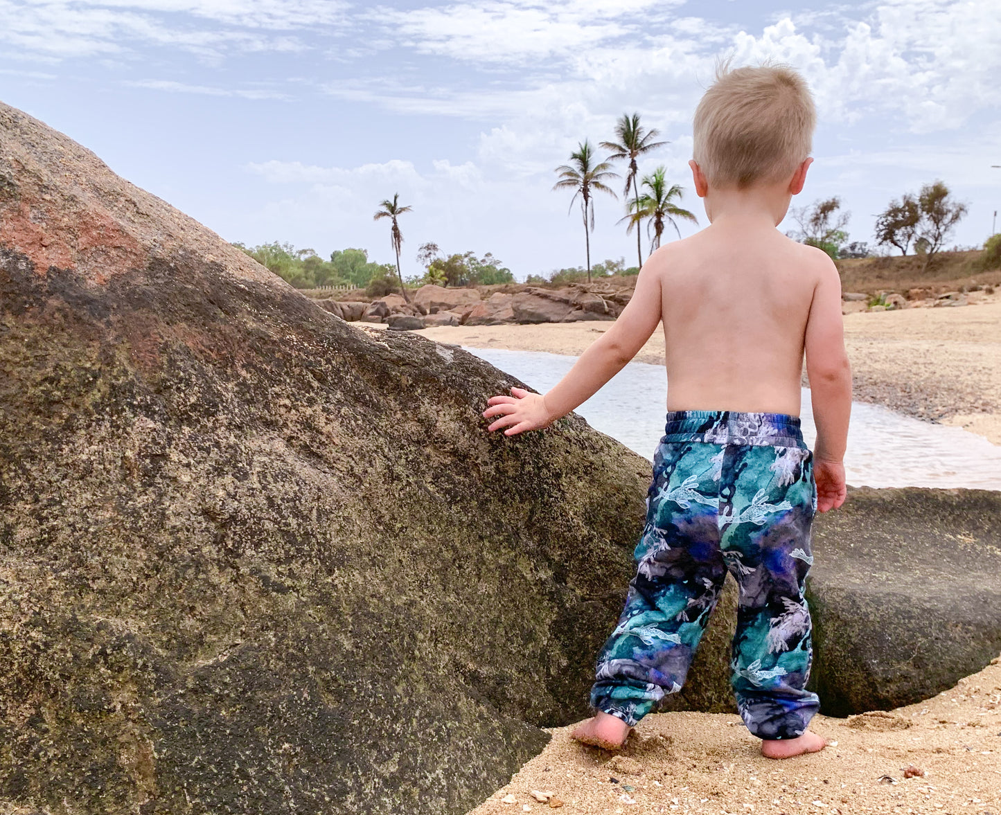 Tracksuit pants - Dragons Reef