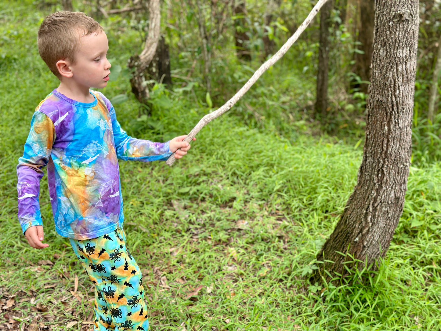 Long sleeve shirt - Dolphin Island