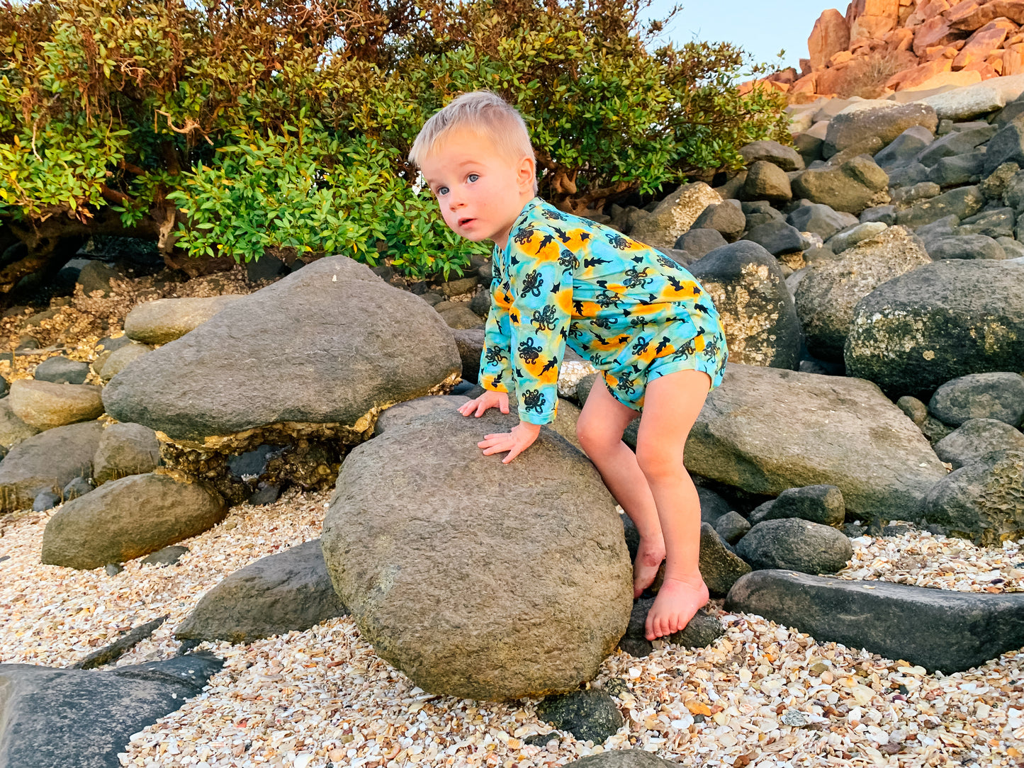 Long sleeve Onesie - The Shallows