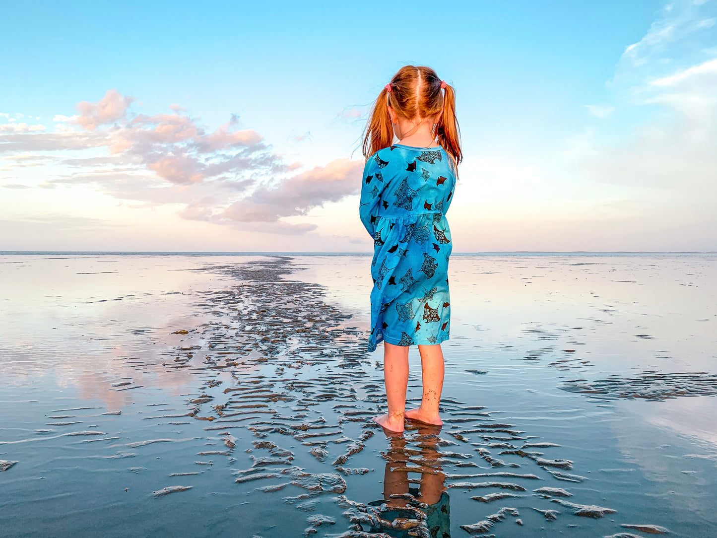 Winter Dress - Mantaray Migration
