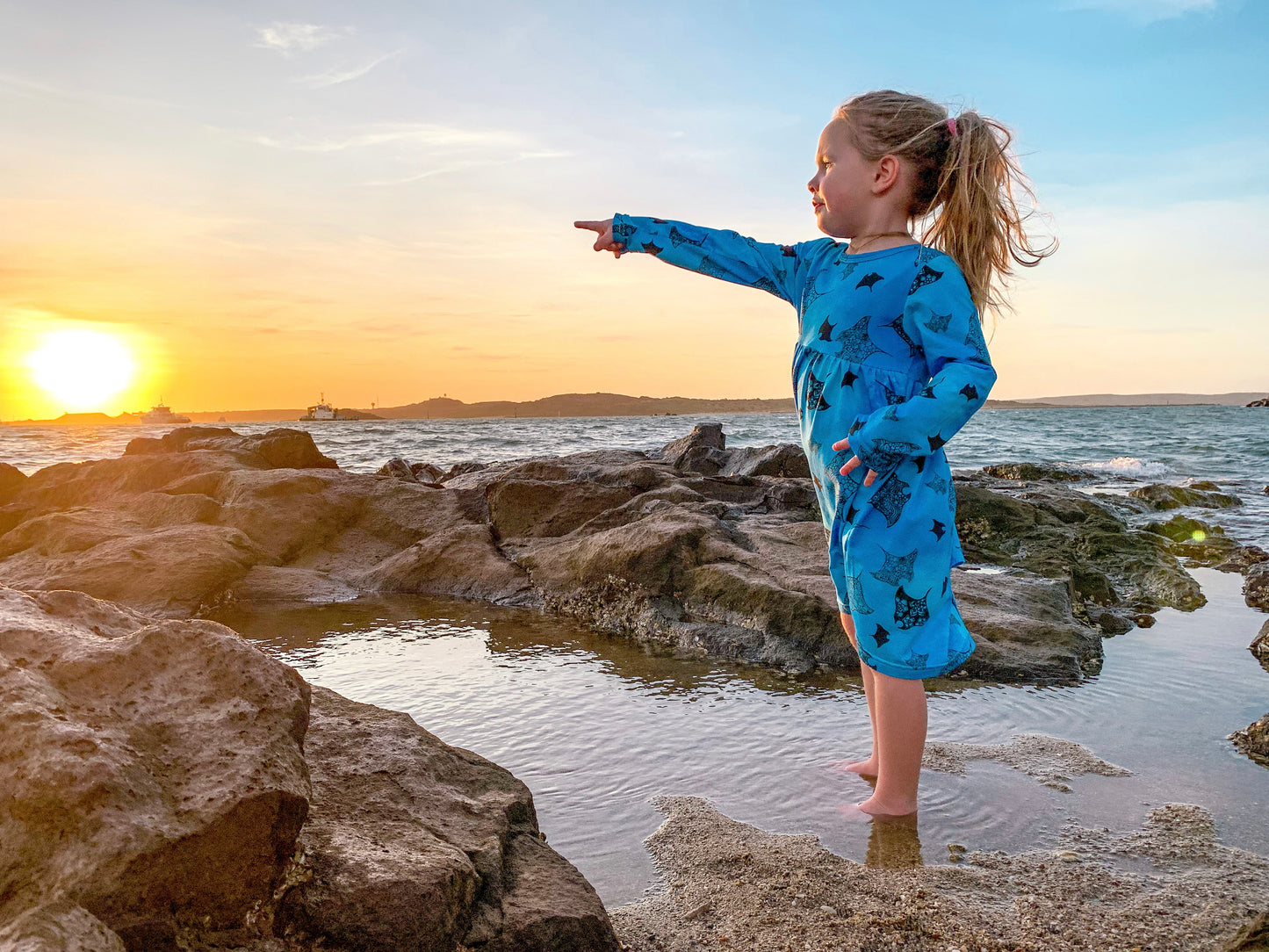 Winter Dress - Mantaray Migration
